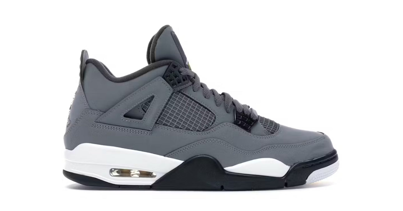 Air Jordan 4 Retro Cool Grey (2019)