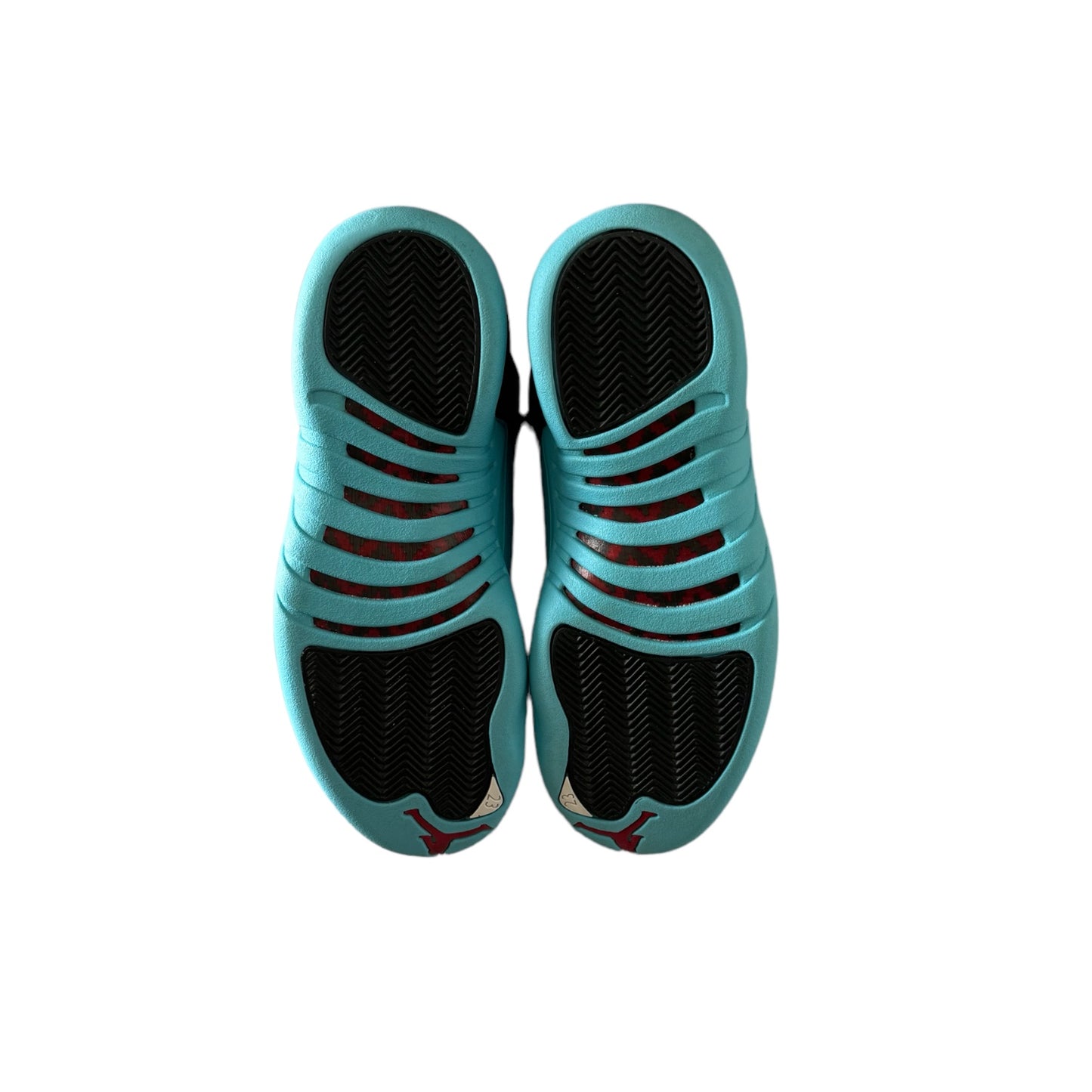 Air Jordan 12 Retro                                Gamma Blue